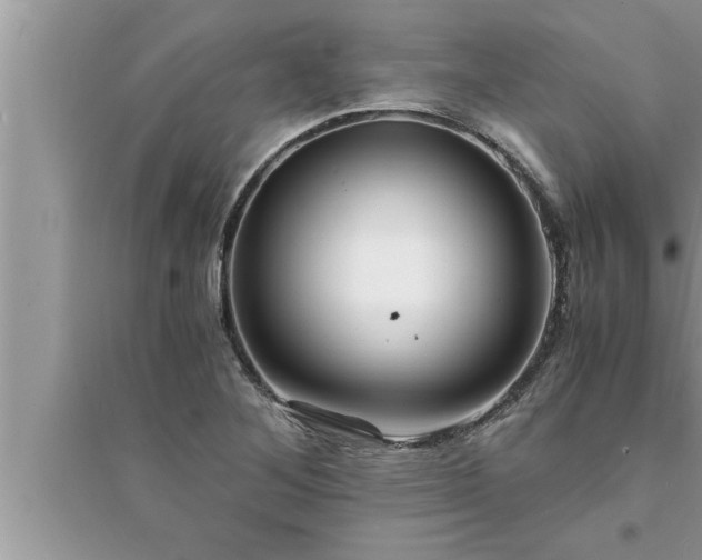 X0000095521268200712211255