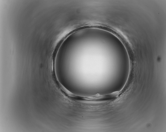 X0000095521269200712211255