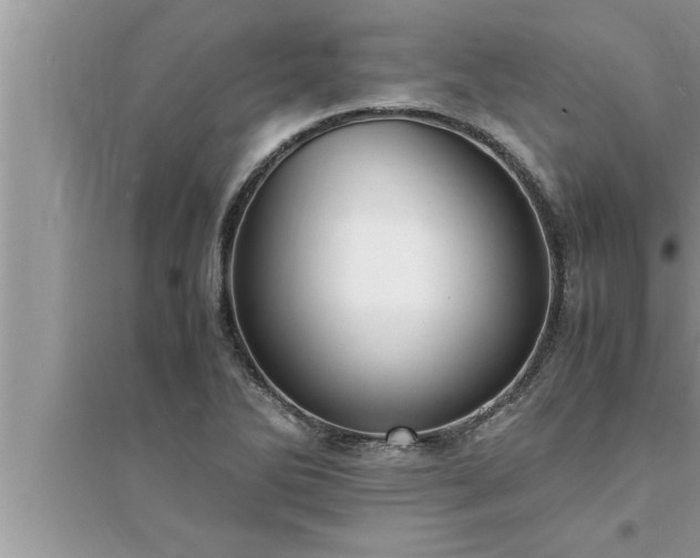 X0000095521270200712211255