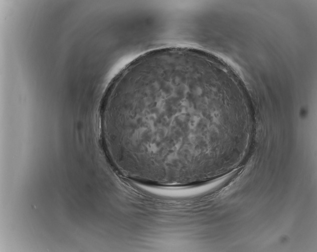 X0000095521271200712211254