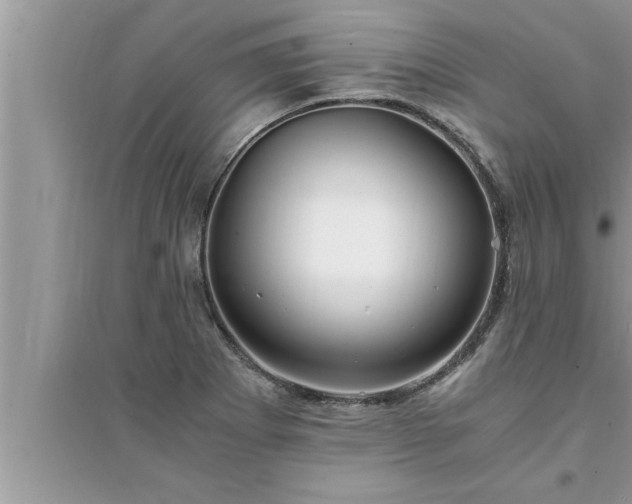 X0000095521273200712211254