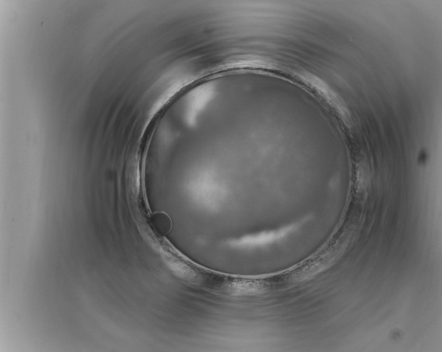 X0000095521274200712211254