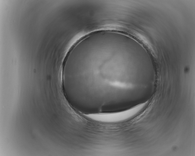 X0000095521275200712211254