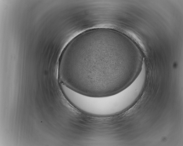 X0000095521276200712211254