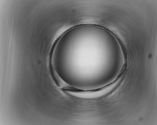 X0000095521277200712211254