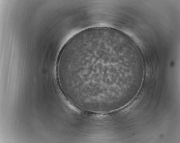 X0000095521278200712211254