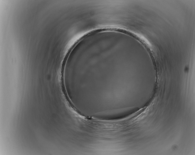 X0000095521279200712211254