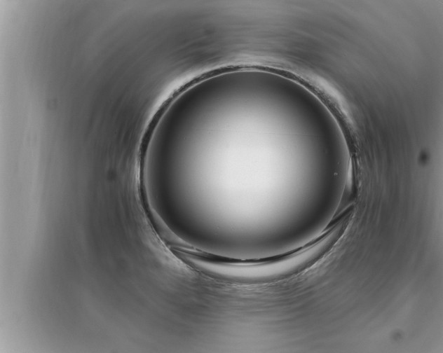 X0000095521280200712211254