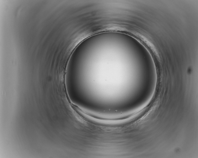 X0000095521281200712211254