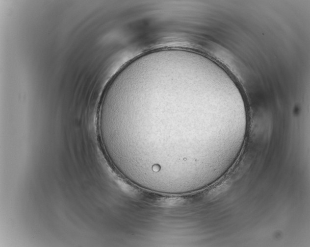 X0000095521282200712211254