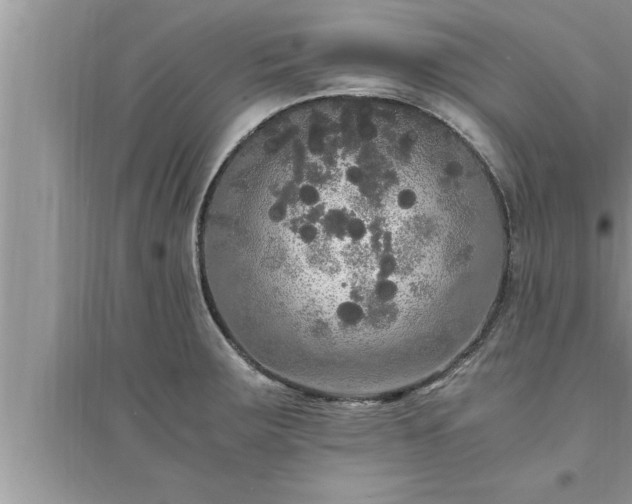 X0000095521283200712211254