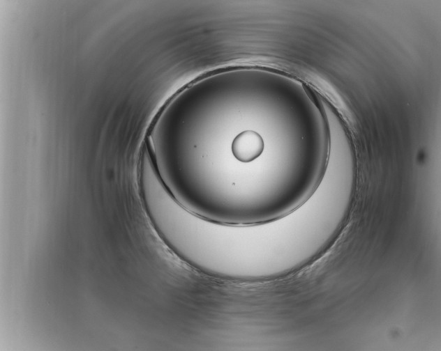 X0000095521284200712211254