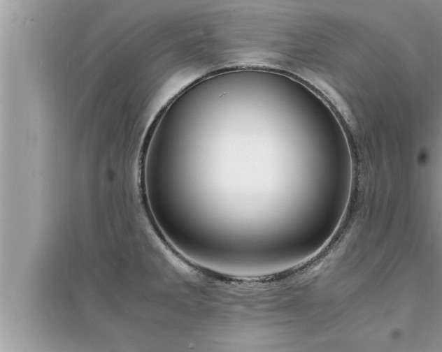 X0000095521285200712211254