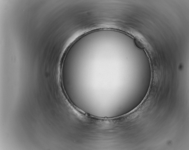 X0000095521286200712211254