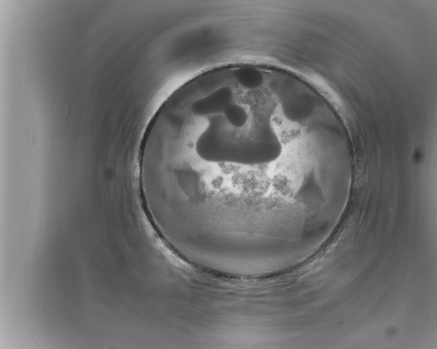 X0000095521287200712211254