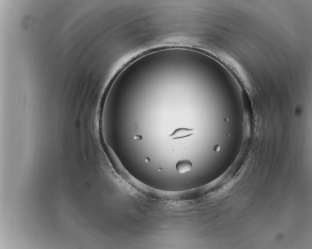 X0000095521288200712211254