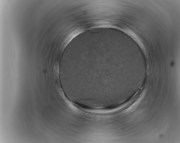 X0000095521289200712211254