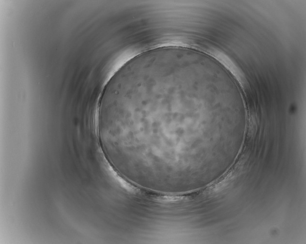 X0000095521290200712211254