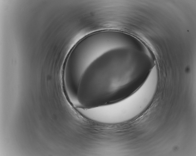 X0000095521291200712211254