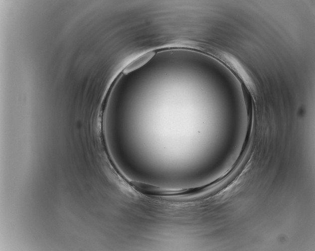 X0000095521292200712211254