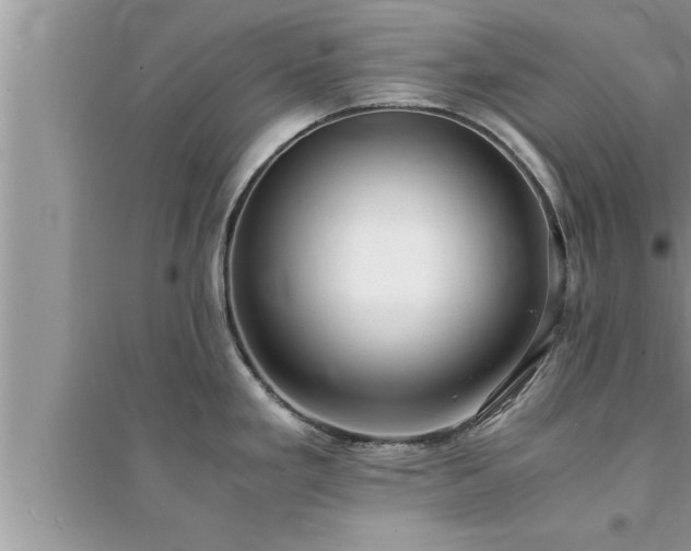 X0000095521293200712211254