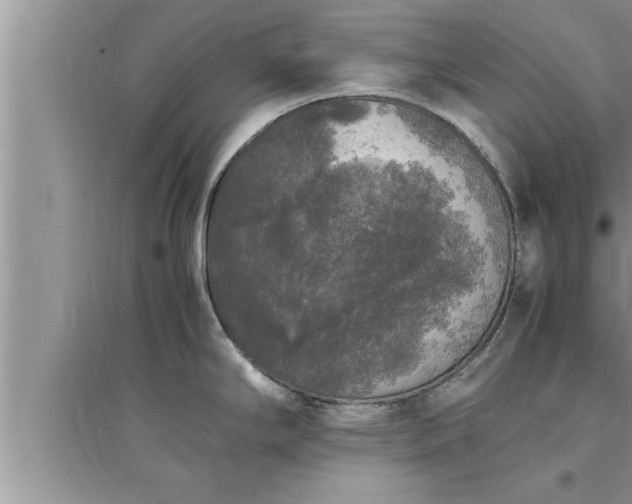 X0000095521294200712211254