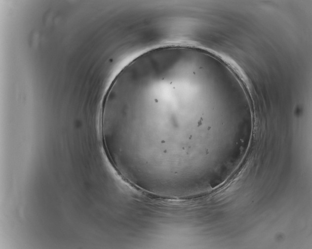 X0000095521295200712211254