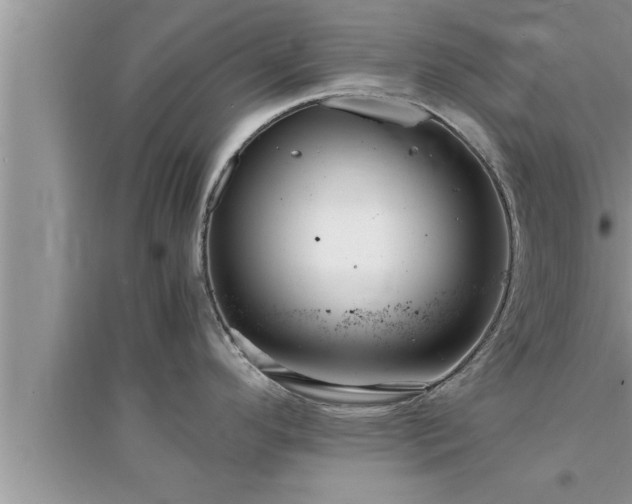 X0000095521296200712211254