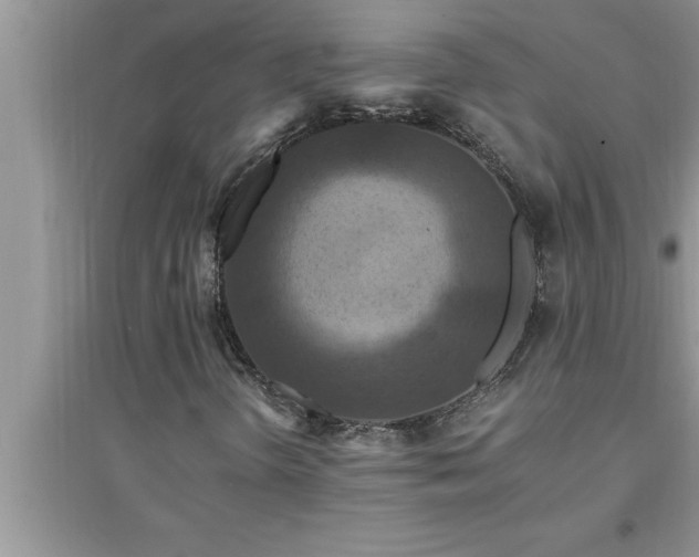 X0000095521298200712211254