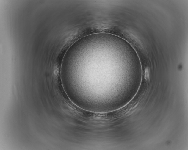 X0000095521299200712211254