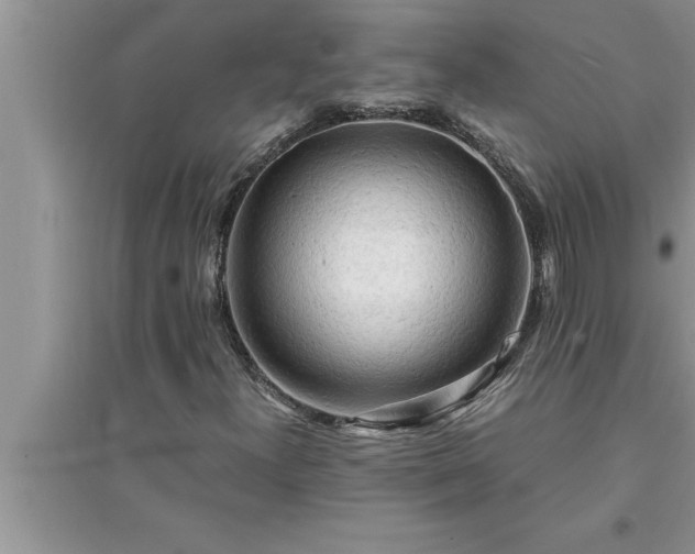 X0000095521300200712211254