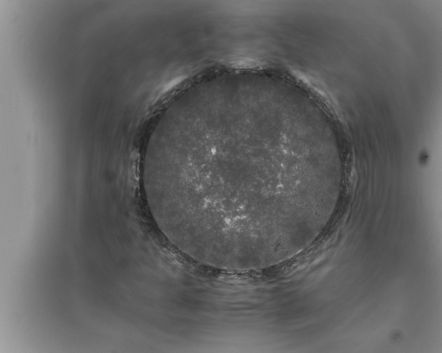 X0000095521301200712211254