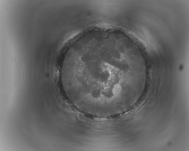 X0000095521302200712211254