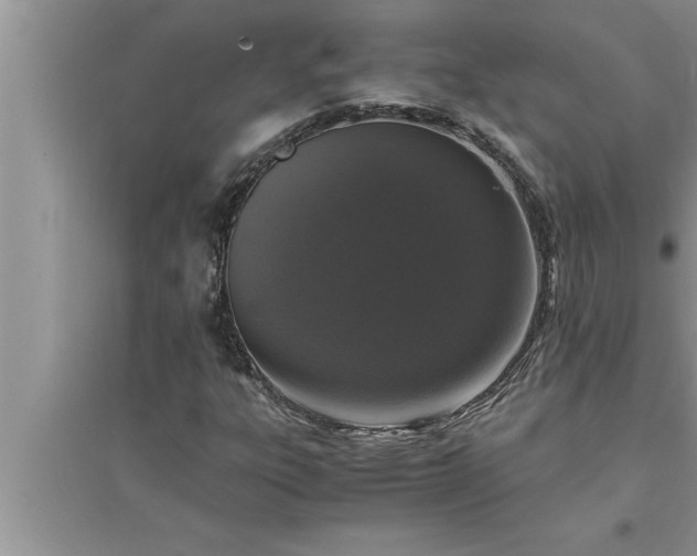 X0000095521303200712211254