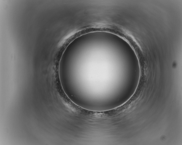 X0000095521304200712211254