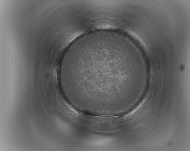 X0000095521305200712211254