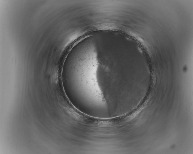 X0000095521306200712211254