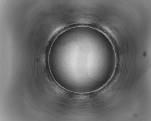 X0000095521307200712211254