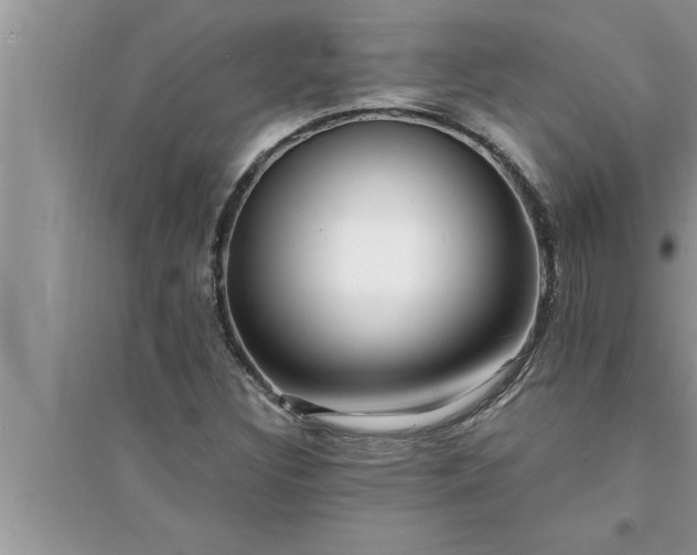 X0000095521308200712211254