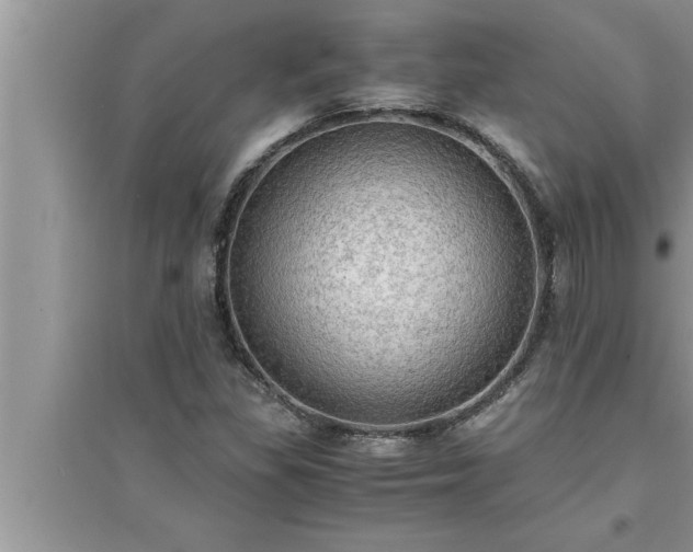 X0000095521309200712211254