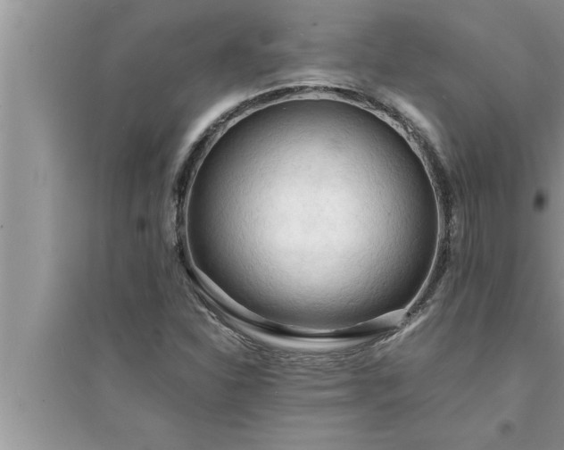 X0000095521310200712211254