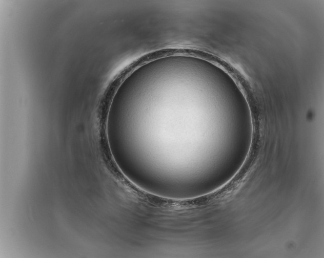 X0000095521311200712211254