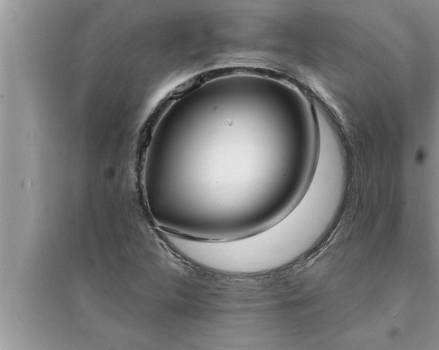 X0000095521312200712211254