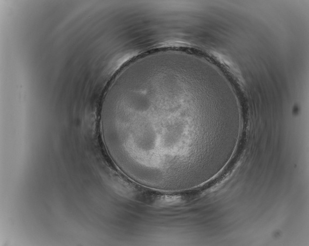 X0000095521313200712211254