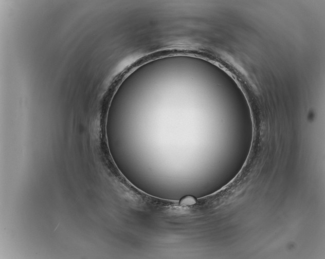 X0000095521315200712211254