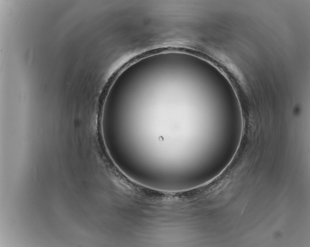 X0000095521316200712211254