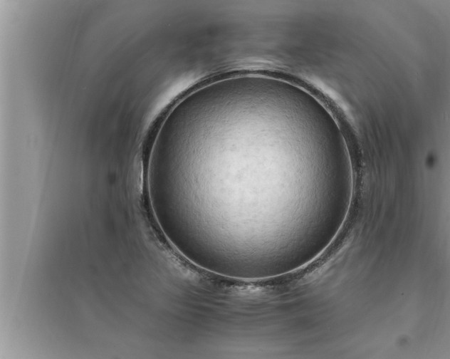 X0000095521317200712211254