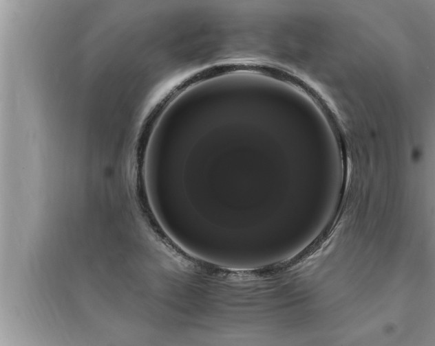 X0000095521319200712211254