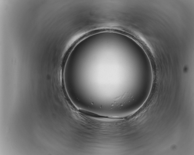 X0000095521320200712211254