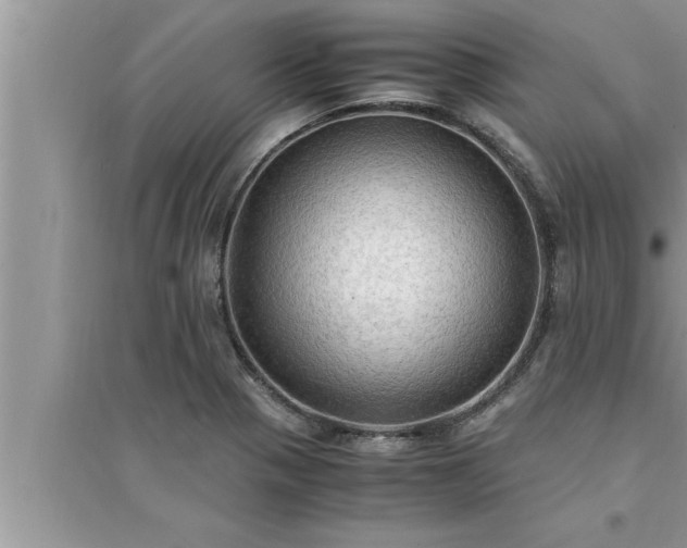 X0000095521321200712211254